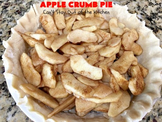 Apple Crumb Pie | Can't Stay Out of the Kitchen | my Mom's fantastic old-fashioned #recipe. Great for family, company or #holiday dinners. #Christmas #Thanksgiving #pie #AppleCrumbPie