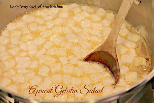 Apricot Gelatin Salad - IMG_0637