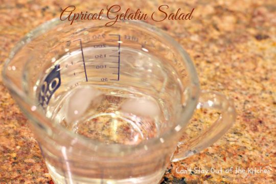 Apricot Gelatin Salad - IMG_0640