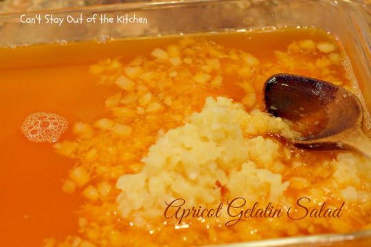 Apricot Gelatin Salad - IMG_0644
