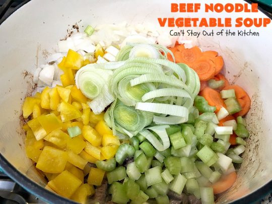 Beef Noodle Vegetable Soup | Can't Stay Out of the Kitchen | this fantastic #soup uses my favorite #Amish #noodles, #StewBeef & lots of #veggies. The seasonings make the taste awesome. It's terrific comfort food for #fall or winter meals. Our company loved this #recipe. #AmishNoodles #carrots #peas #corn #GreenBeans #beef #BeefNoodleVegetableSoup