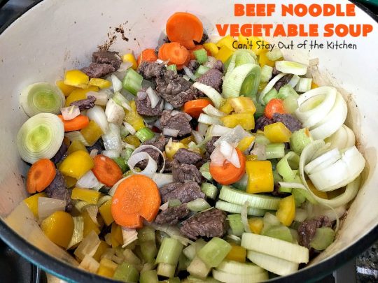 Beef Noodle Vegetable Soup | Can't Stay Out of the Kitchen | this fantastic #soup uses my favorite #Amish #noodles, #StewBeef & lots of #veggies. The seasonings make the taste awesome. It's terrific comfort food for #fall or winter meals. Our company loved this #recipe. #AmishNoodles #carrots #peas #corn #GreenBeans #beef #BeefNoodleVegetableSoup