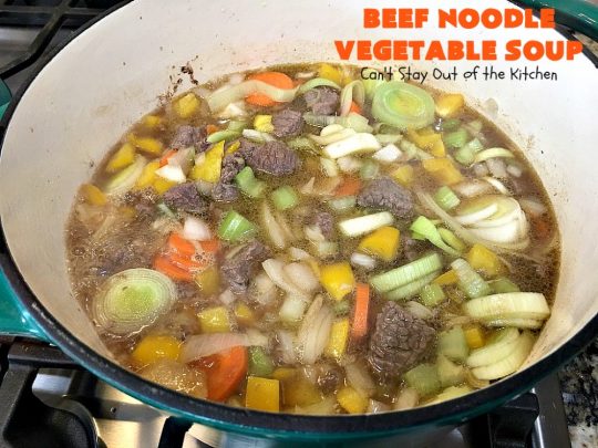 Beef Noodle Vegetable Soup | Can't Stay Out of the Kitchen | this fantastic #soup uses my favorite #Amish #noodles, #StewBeef & lots of #veggies. The seasonings make the taste awesome. It's terrific comfort food for #fall or winter meals. Our company loved this #recipe. #AmishNoodles #carrots #peas #corn #GreenBeans #beef #BeefNoodleVegetableSoup