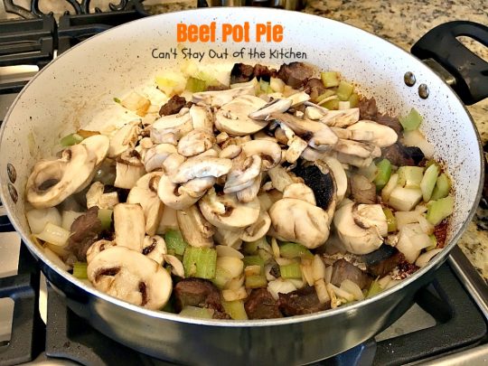 Beef Pot Pie | Can't Stay Out of the Kitchen | the most succulent and amazing #beefpotpie ever! You won't want to make any other recipe after trying this! #beef #potpie