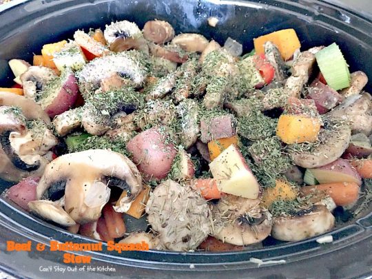 Beef and Butternut Squash Stew | Can't Stay Out of the Kitchen | amazing comfort food. #beef & #butternutsquash work so well together. We loved this #stew. Made in the #crockpot. #glutenfree #soup