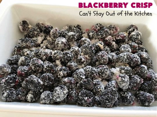 Blackberry Crisp | Can't Stay Out of the Kitchen | This #dessert is absolutely mouthwatering. It's terrific as a #summer #dessert, but #blackberries can be purchased year round now so it's great for any kind of #holiday, company or #potluck #dessert. #HolidayDessert #BlackberryDessert #BlackberryCrisp