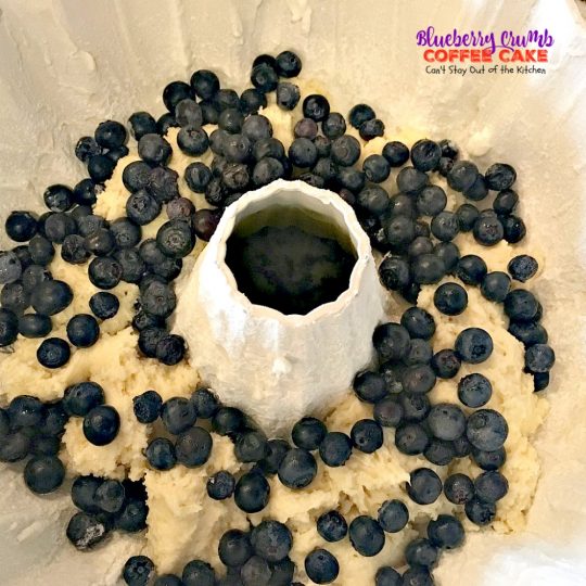 Blueberry Crumb Coffee Cake | Can't Stay Out of the Kitchen | delicious #coffeecake is filled with #blueberries & a crumb topping that's heavenly. Perfect for #FathersDay and other #holidays. #breakfast