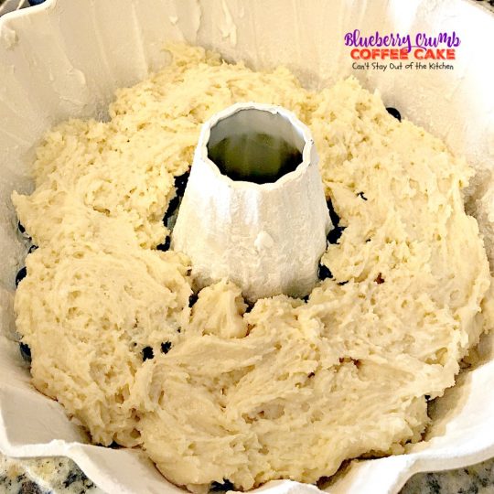 Blueberry Crumb Coffee Cake | Can't Stay Out of the Kitchen | delicious #coffeecake is filled with #blueberries & a crumb topping that's heavenly. Perfect for #FathersDay and other #holidays. #breakfast