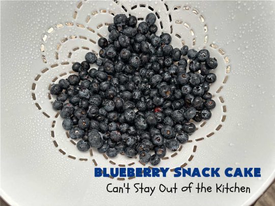 Blueberry Snack Cake | Can't Stay Out of the Kitchen | this lovely 7-ingredient #dessert is light & refreshing. It's filled with #blueberries & can be whipped up & on the table in 45 minutes. It's perfect for picnics, potlucks, backyard BBQs, or even #tailgating parties. #cake #BlueberryDessert #BlueberrySnackCake