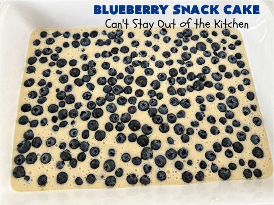 Blueberry Snack Cake | Can't Stay Out of the Kitchen | this lovely 7-ingredient #dessert is light & refreshing. It's filled with #blueberries & can be whipped up & on the table in 45 minutes. It's perfect for picnics, potlucks, backyard BBQs, or even #tailgating parties. #cake #BlueberryDessert #BlueberrySnackCake