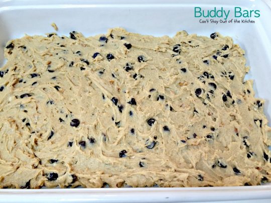 Buddy Bars | Can't Stay Out of the Kitchen | these amazing #brownies combine #chocolate and #peanutbutter making the best "buddy" combination ever! #dessert #cookie