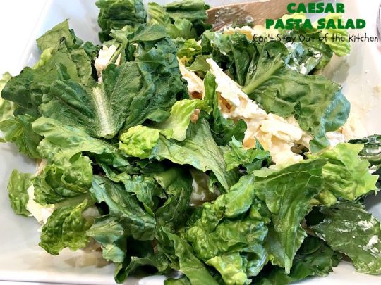 Caesar Pasta Salad | Can't Stay Out of the Kitchen | this is a terrific variation on traditional #CaesarSalad #recipes that includes bow-tie #pasta & a quick & easy homemade #SaladDressing. Great for potlucks & backyard BBQs. #salad #PastaSalad #ParmesanCheese #CaesarPastaSalad