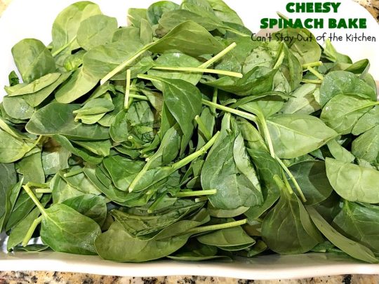 Cheesy Spinach Bake | Can't Stay Out of the Kitchen | this cheesy & delicious #spinach #souffle is made with both #CheddarCheese & #MontereyJack. It's the ultimate in cheesy comfort food! It's terrific for #holiday menus like #Thanksgiving or #Christmas. #GlutenFree #SideDish #GlutenFreeSideDish #CheesySpinachBake