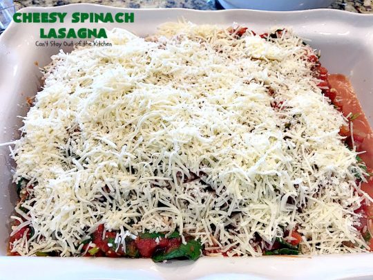Cheesy Spinach Lasagna | Can't Stay Out of the Kitchen | this #lasagna entree is wonderful & great for #MeatlessMondays, potlucks or other family dinners. #spinach #cheese