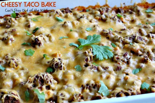 Cheesy Taco Bake | Can't Stay Out of the Kitchen | amazing #Tex-Mex entree with a #Bisquick & Cilantro crust, filled with #beef #corn and #salsa and topped with #cheese.