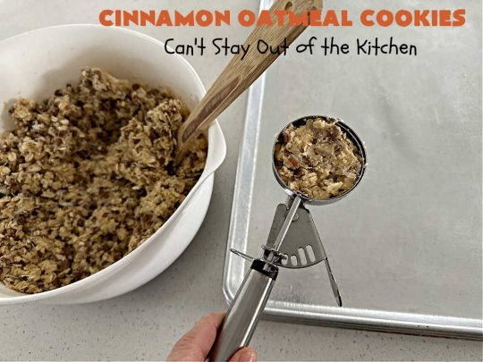 Cinnamon Oatmeal Cookies | Can't Stay Out of the Kitchen | these delectable #OatmealCookies are filled with #oatmeal #CinnamonChips, #pecans & #coconut. They're hearty, satisfying & chewy #cookies. Enjoy them at #tailgating parties, potlucks, Backyard BBQs or soccer practice. Fill your Cookie Jar & your kids will swoon over this amazing #dessert. #cinnamon #CinnamonDessert #CinnamonOatmealCookies