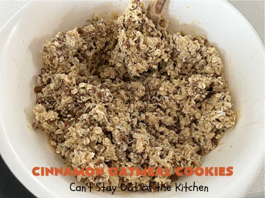 Cinnamon Oatmeal Cookies | Can't Stay Out of the Kitchen | these delectable #OatmealCookies are filled with #oatmeal #CinnamonChips, #pecans & #coconut. They're hearty, satisfying & chewy #cookies. Enjoy them at #tailgating parties, potlucks, Backyard BBQs or soccer practice. Fill your Cookie Jar & your kids will swoon over this amazing #dessert. #cinnamon #CinnamonDessert #CinnamonOatmealCookies