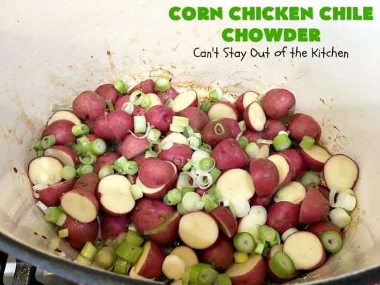 Corn Chicken Chile Chowder | Can't Stay Out of the Kitchen | this fantastic #TexMex #soup is hearty, satisfying & so filling. It's filled with Southwestern flavors that give it zest, but it's not overpowering. #corn #chicken #chowder #GreenChilies #CornChowder #GlutenFree #CornChickenChileChowder
