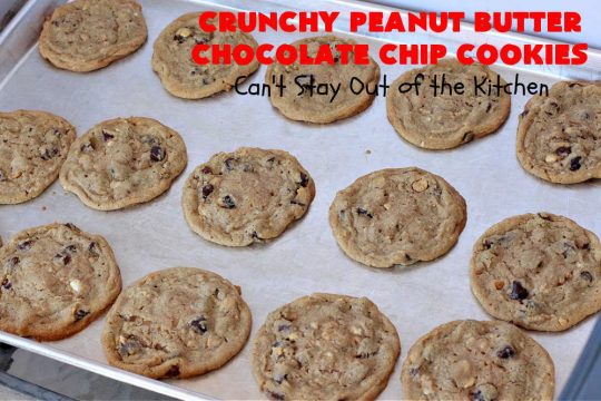 Crunchy Peanut Butter Chocolate Chip Cookies | Can't Stay Out of the Kitchen | these amazing whopper-sized #PeanutButterCookies contain #ChocolateChips making them some of the best #ChocolateChipCookies ever! They're terrific for #holiday parties or a #ChristmasCookieExchange. #chocolate #PeanutButter #PeanutButterDessert #ChocolateDessert #dessert #HolidayDessert #CrunchyPeanutButterChocolateChipCookies