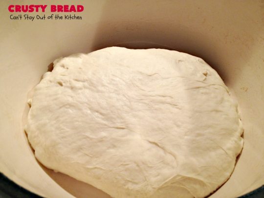 Crusty Bread | Can't Stay Out of the Kitchen | this easy "No-Knead" #bread is fantastic. It uses only 4 ingredients so it's incredibly inexpensive. Terrific Artisan type bread for any dinner meal. #vegan #CrustyBread #NoKneadBread #VeganBread #ArtisanBread
