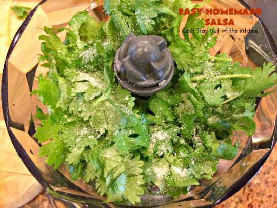 Easy Homemade Salsa | Can't Stay Out of the Kitchen | This incredibly delicious and easy 5-ingredient #salsa is terrific for any party. It's always a hit with everyone! #appetizer #TexMex #vegan #glutenfree