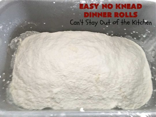 Easy No Knead Dinner Rolls | Can't Stay Out of the Kitchen | this incredibly easy 6-ingredient #recipe is the best #DinnerRoll recipe ever! The dough is kneaded in the #breadmaker so there's no kneading or stirring! If your family enjoys dinner rolls this is the perfect recipe for family, company or #holiday dinners. Everyone will rave over them and beg you to make them again! #bread #HolidaySideDish #NoKneadDinnerRolls #EasyNoKneadDinnerRolls #HolidayDinnerRolls #CompanyDinnerRolls