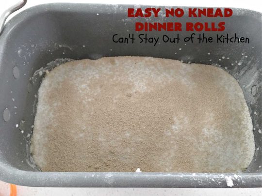 Easy No Knead Dinner Rolls | Can't Stay Out of the Kitchen | this incredibly easy 6-ingredient #recipe is the best #DinnerRoll recipe ever! The dough is kneaded in the #breadmaker so there's no kneading or stirring! If your family enjoys dinner rolls this is the perfect recipe for family, company or #holiday dinners. Everyone will rave over them and beg you to make them again! #bread #HolidaySideDish #NoKneadDinnerRolls #EasyNoKneadDinnerRolls #HolidayDinnerRolls #CompanyDinnerRolls