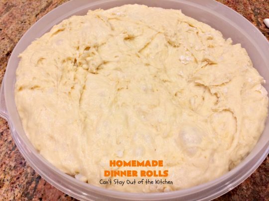 Homemade Dinner Rolls | Can't Stay Out of the Kitchen | these easy #GooseberryPatch #dinnerrolls are fantastic. There's no kneading & you refrigerate the dough overnight. They're perfect for company or #holidays like #Thanksgiving or #Christmas. #bread