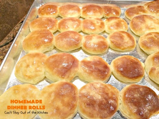 Homemade Dinner Rolls | Can't Stay Out of the Kitchen | these easy #GooseberryPatch #dinnerrolls are fantastic. There's no kneading & you refrigerate the dough overnight. They're perfect for company or #holidays like #Thanksgiving or #Christmas. #bread