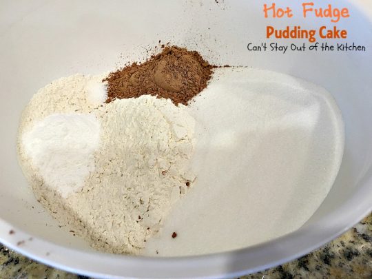 Hot Fudge Pudding Cake | Can't Stay Out of the Kitchen | this amazing #dessert makes its own #hotfudgesauce at the bottom of the dish after baking! It is a #chocolate lover's dream. #cake