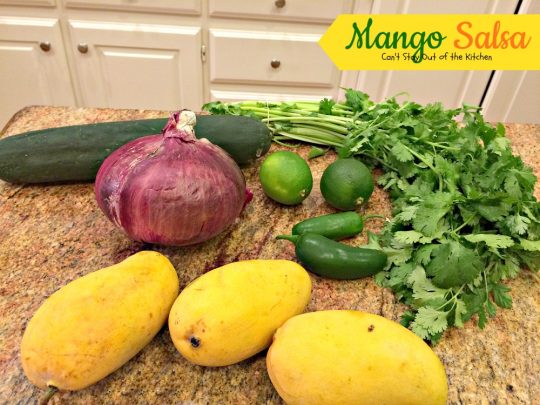 Mango Salsa | Can't Stay Out of the Kitchen | incredible #salsa recipe with just the right amount of heat from #jalapenos. #mangos #glutenfree #vegan