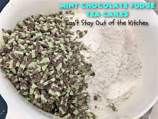 Mint Chocolate Fudge Tea Cakes | Can't Stay Out of the Kitchen | these breathtaking #TeaCakes include lots of #chocolate with just a hint of #mint. This dynamic duo of flavors is absolutely irresistible. This #dessert is so mouthwatering & irresistible you'll put it on your menu frequently. Great for #holidays, special occasions and potlucks. #cake #ChocolateDessert #HolidayDessert #Bundt #MintChocolateFudgeTeaCakes