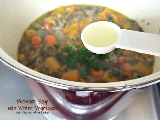 Mushroom Soup with Winter Vegetables | Can't Stay Out of the Kitchen | this incredibly tasty #soup is healthy, low calorie, #glutenfree and #vegan. Great fare after the calorie explosion from #Thanksgiving! #butternutsquash #mushrooms