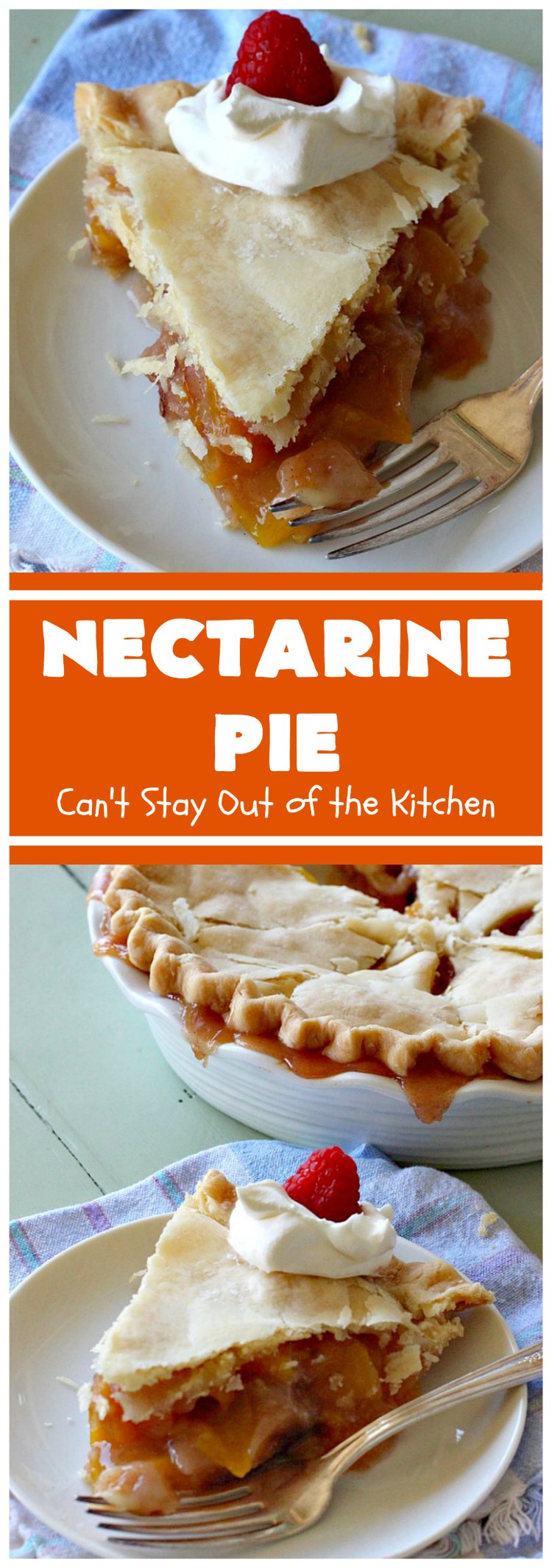 Nectarine Pie | Can't Stay Out of the Kitchen | this is absolutely the best  #FruitPie ever! I never realized #nectarines tasted so great in #dessert. Better than #PeachPie! Love this #recipe. #southern #NectarinePie #cinnamon #NectarineDessert #Canbassador #WashingtonStateFruitCommission #WashingtonStoneFruitGrowers