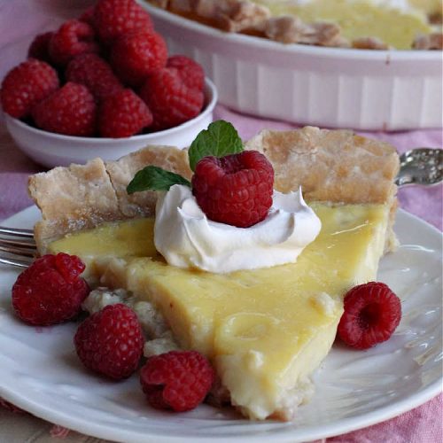 Old Fashioned Custard Pie | Can't Stay Out of the Kitchen | this delicious #pie is so mouthwatering yet easy to make. It makes a great #dessert especially when you need one whipped up in a jiffy. It's always been one of my kid's favorite pie recipes because it's not overly sweet. #CustardPie #MomsCustardPie #OldFashionedCustardPie #EasyCustardPie