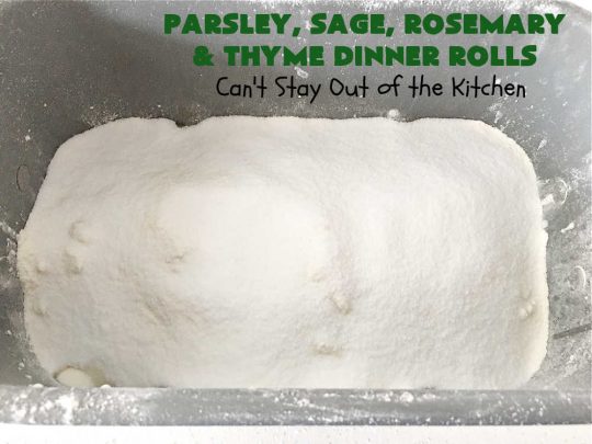 Parsley, Sage, Rosemary & Thyme Dinner Rolls | Can't Stay Out of the Kitchen | these #DinnerRolls are amazing! This #recipe does not have to be kneaded since it's done in the #breadmaker!. The #rolls are seasoned with #parsley, #sage, #rosemary & #thyme for maximum flavor & deliciousness. Perfect to serve with hot soup or chili. Excellent for family, company or #holiday dinners. #bread #ParsleySageRosemaryAndThymeDinnerRolls #NoKneadDinnerRolls
