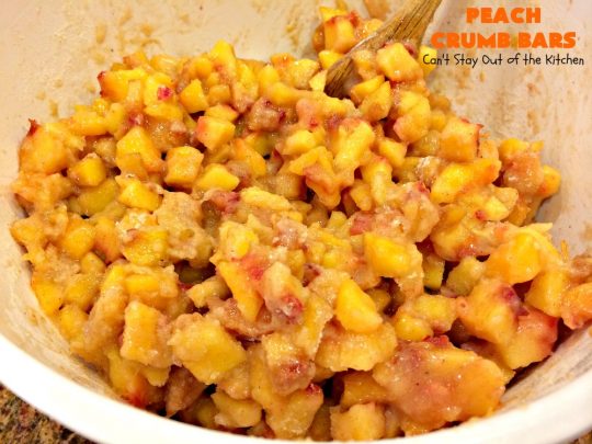 Peach Crumb Bars | Can't Stay Out of the Kitchen | these fabulous #dessert bars are some of the best with #peaches I've ever eaten. The #streusel topping with #cinnamon sugar just melts in your mouth. We loved these #cookies.