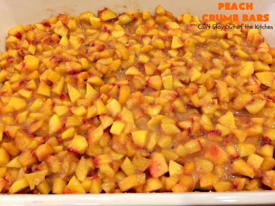 Peach Crumb Bars | Can't Stay Out of the Kitchen | these fabulous #dessert bars are some of the best with #peaches I've ever eaten. The #streusel topping with #cinnamon sugar just melts in your mouth. We loved these #cookies.