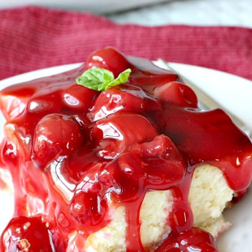 Philadelphia Cheesecake | Can't Stay Out of the Kitchen