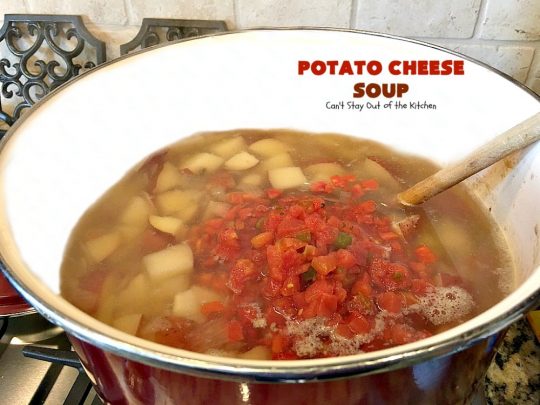 Potato Cheese Soup | Can't Stay Out of the Kitchen | this amazing #soup will soon become a favorite! Uses diced #tomatoes with green #chilies & #velveeta. Quick & easy, too. #glutenfree