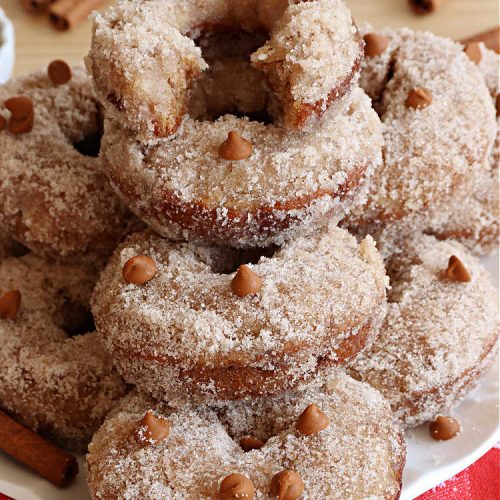 Snickerdoodle Donuts | Can't Stay Out of the Kitchen | #SnickerdoodleDonuts are outrageously good! These marvelous #donuts include triple the #cinnamon & #Snickerdoodle flavor with both cinnamon & #CinnamonChips in the batter & a thick #CinnamonSugar coating on the outside that puts them over-the-top. Perfect for a weekend, company or #holiday #breakfast. Everyone will rave over these! #HolidayBreakfast
