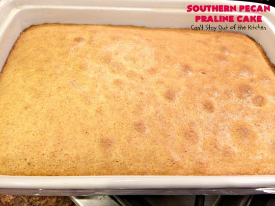 Southern Pecan Praline Cake | Can't Stay Out of the Kitchen | this fantastic #cake tastes like eating #pralines in a butter #pecan cake! It explodes in flavor & is perfect for #dessert or a #holiday #breakfast since it has the consistency of #coffeecake. #Easter #MothersDay #FathersDay
