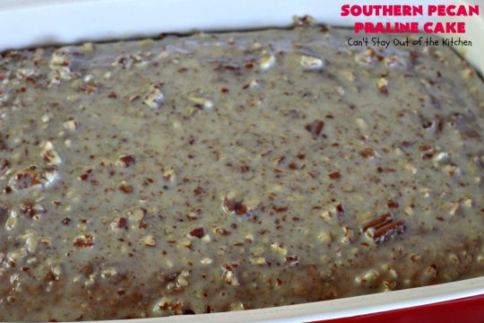 Southern Pecan Praline Cake | Can't Stay Out of the Kitchen | this fantastic #cake tastes like eating #pralines in a butter #pecan cake! It explodes in flavor & is perfect for #dessert or a #holiday #breakfast since it has the consistency of #coffeecake. #Easter #MothersDay #FathersDay