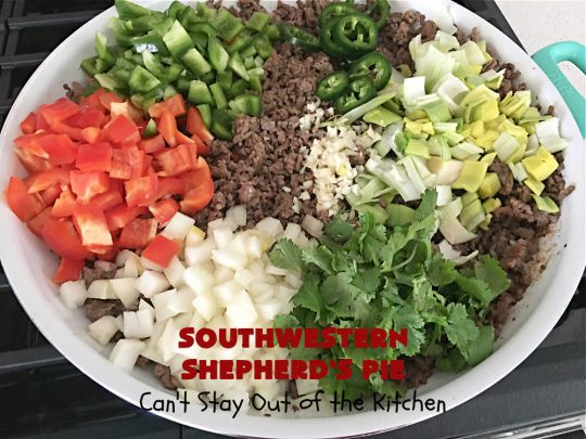 Southwestern Shepherd's Pie | Can't Stay Out of the Kitchen | this #Southwestern version of #ShepherdsPie is phenomenal! Every bite will rock your world. The #cheesy #MashedPotato topping is wonderful too. Great for company dinners or potlucks since it makes a lot. Make in the #SlowCooker or bake in the oven. #TexMex #beef #ItalianSausage #SouthwesternShepherdsPie #GlutenFree