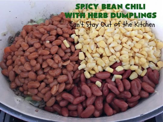 Spicy Bean Chili with Herb Dumplings | Can't Stay Out of the Kitchen | this fantastic #chili #recipe includes 4 kinds of #beans, #ChipotlePeppers in #AdoboSauce & #GreenChilies to make it sizzle. The #HerbDumplings are light & airy & add mouthwatering goodness to every bite. This #GlutenFree entree is wonderful reheated too. #BlackBeans #beef #KidneyBeans #ChiliBeans #corn #dumplings #SpicyBeanChili #SpicyBeanChiliWithHerbDumplings #TexMex