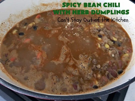 Spicy Bean Chili with Herb Dumplings | Can't Stay Out of the Kitchen | this fantastic #chili #recipe includes 4 kinds of #beans, #ChipotlePeppers in #AdoboSauce & #GreenChilies to make it sizzle. The #HerbDumplings are light & airy & add mouthwatering goodness to every bite. This #GlutenFree entree is wonderful reheated too. #BlackBeans #beef #KidneyBeans #ChiliBeans #corn #dumplings #SpicyBeanChili #SpicyBeanChiliWithHerbDumplings #TexMex