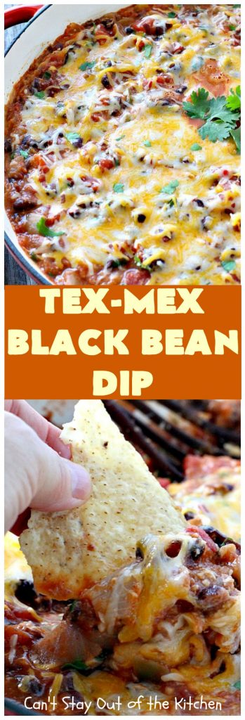 Tex-Mex Black Bean Dip | Can't Stay Out of the Kitchen | This #TexMex dip is amazing. It's one of the best #appetizers we've ever eaten. #blackbeans #cheese #salsa #glutenfree