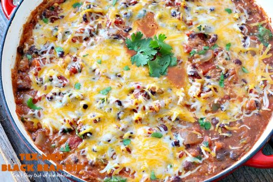 Tex-Mex Black Bean Dip | Can't Stay Out of the Kitchen | This #TexMex dip is amazing. It's one of the best #appetizers we've ever eaten. #blackbeans #cheese #salsa #glutenfree