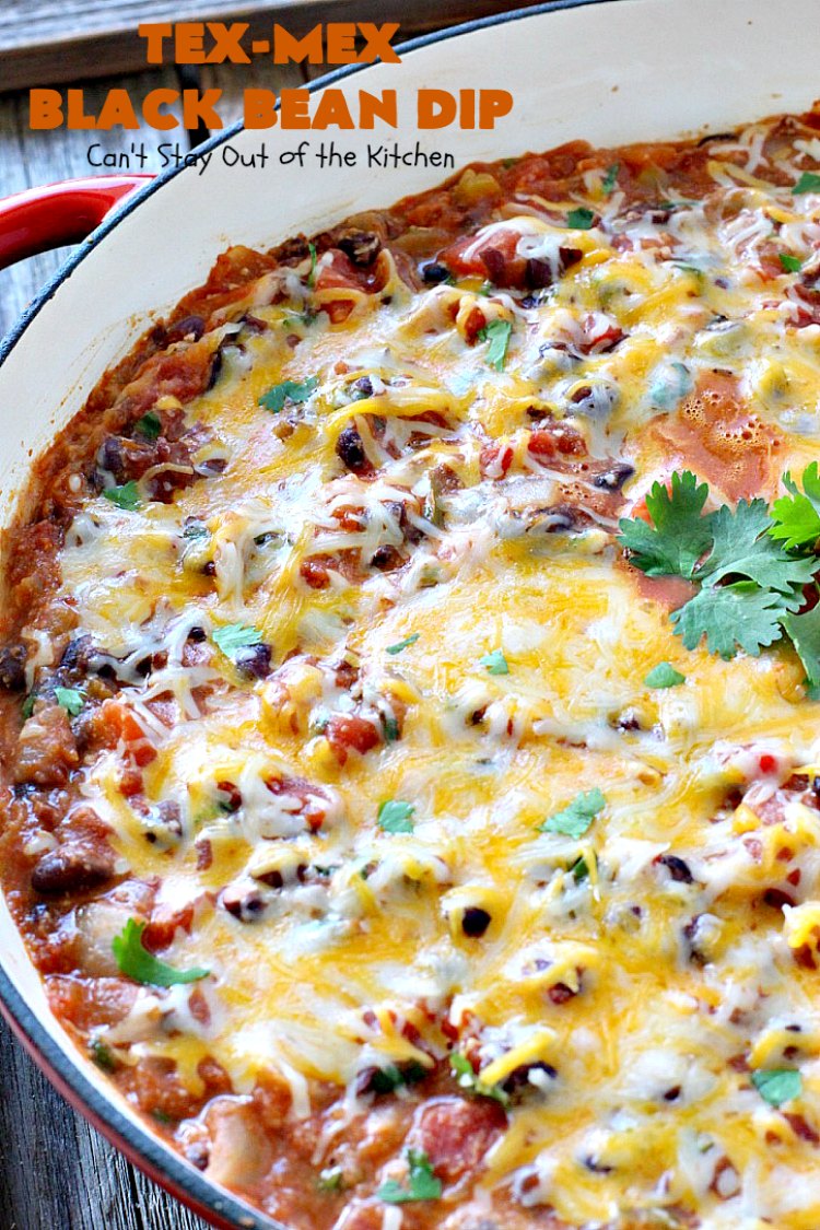 Tex-Mex Black Bean Dip | Can't Stay Out of the Kitchen | This #TexMex dip is amazing. It's one of the best #appetizers we've ever eaten. #blackbeans #cheese #salsa #glutenfree