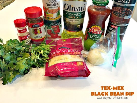 Tex-Mex Black Bean Dip | Can't Stay Out of the Kitchen | This #TexMex dip is amazing. It's one of the best #appetizers we've ever eaten. #blackbeans #cheese #salsa #glutenfree